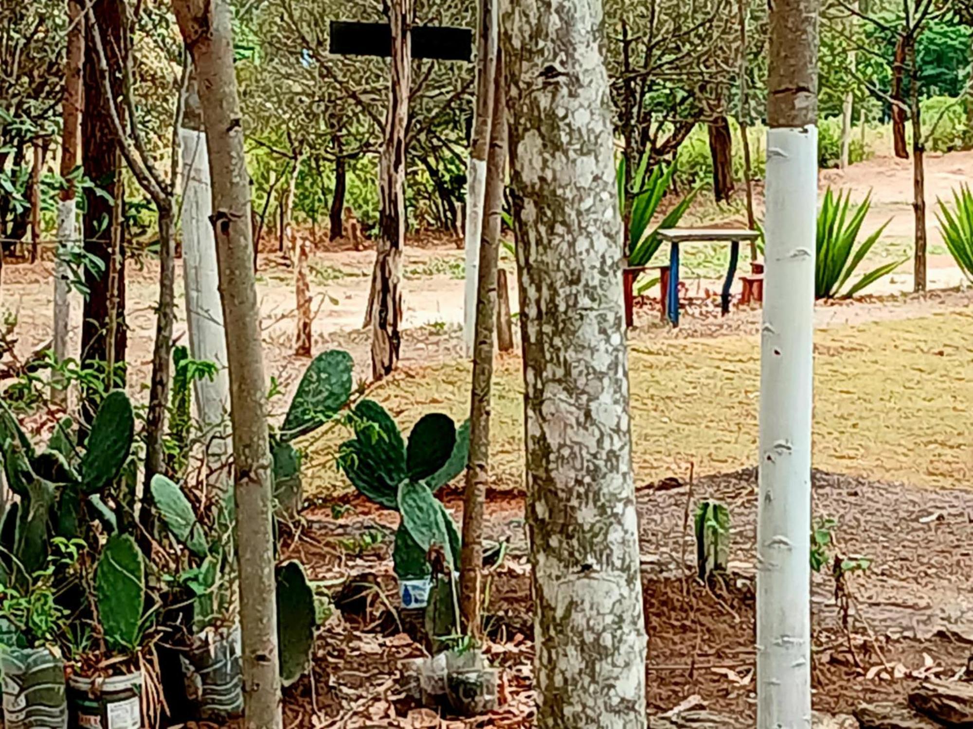 Camping Avohai São Tomé das Letras Екстериор снимка